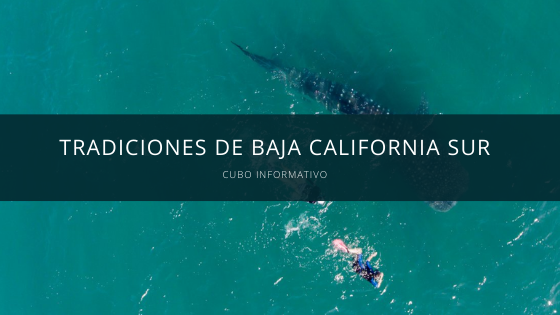 que hacer en los cabos