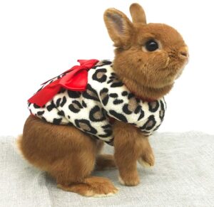 ropita para conejos comprar