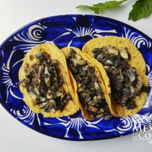 Huitlacoche gastronomia con insectos de mexico