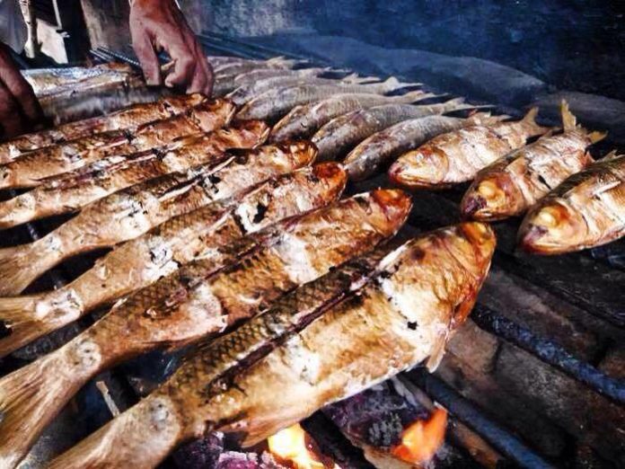 Lisa tatemada en leña de mangle