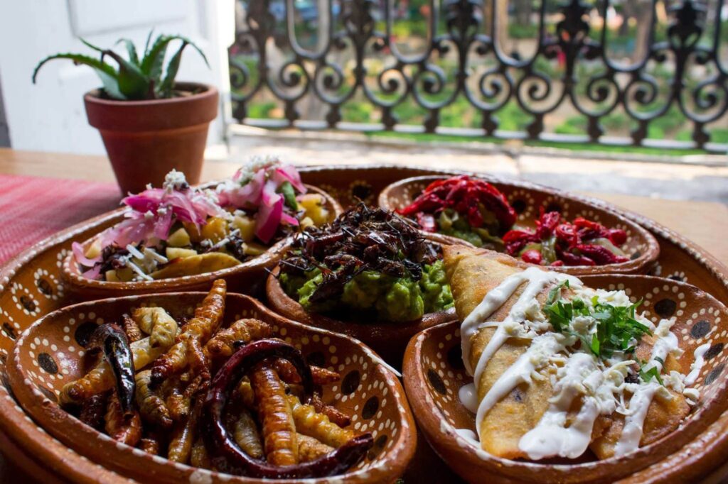 Platillos mexicanos con Insectos