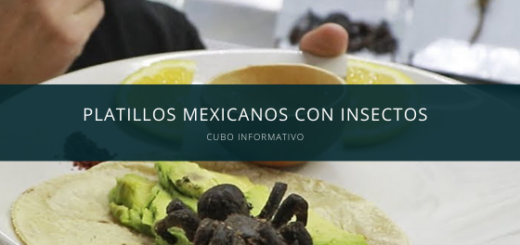 Platillos mexicanos con Insectos
