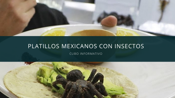 Platillos mexicanos con Insectos