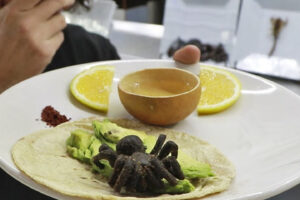 Tarántulas horneada gastronomia exotica de mexico