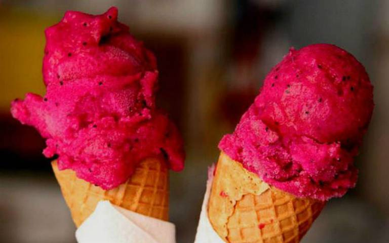 Nieves de Xoconostle