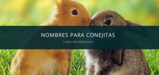 Nombres para Conejitas