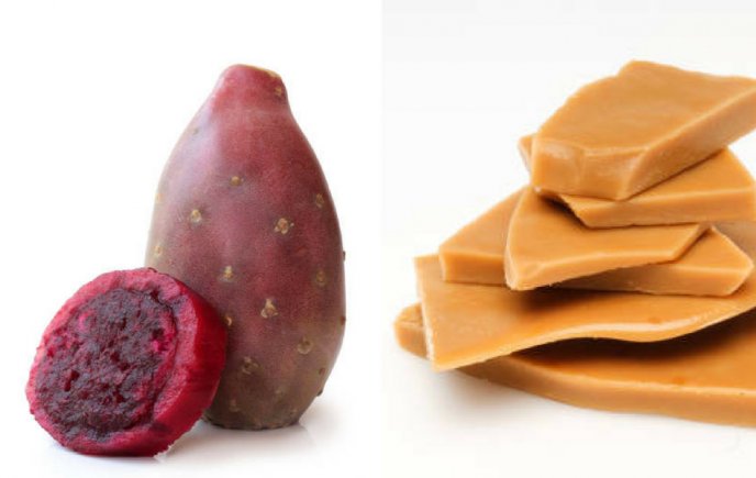 Queso de Tuna de san luis potosis