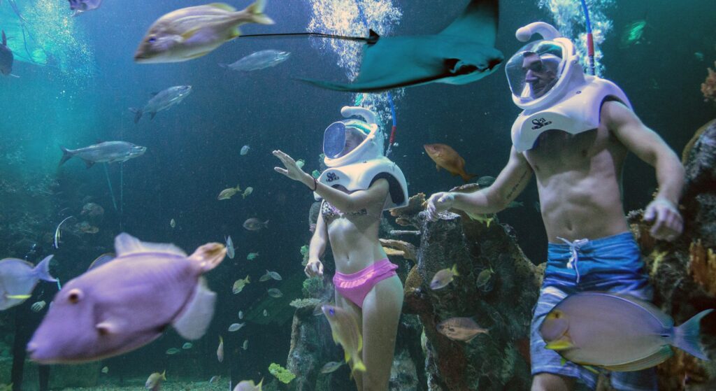 Acuario Interactivo actividades para niños en cancun