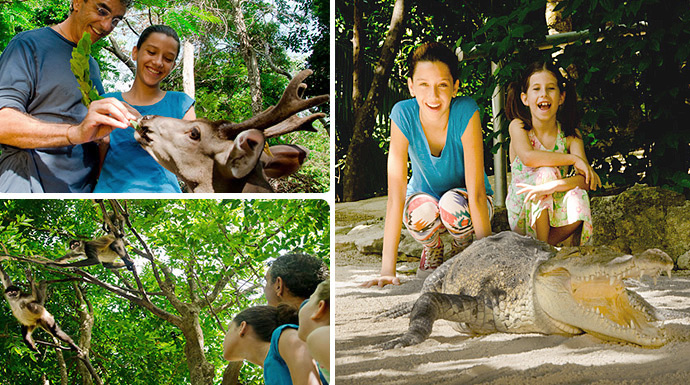 Crococun parques cancun para toda la familia