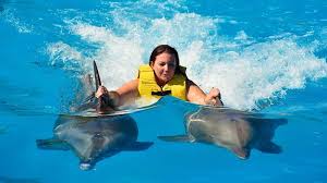 Nado con delfines actividad impresidible en cancun