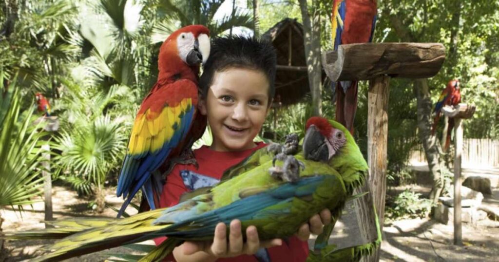 Parques en Cancun para niños
