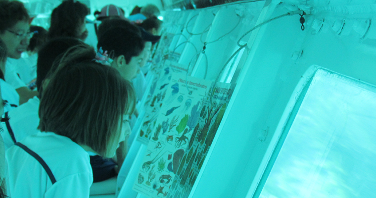 SubSee actividad para niños cancun