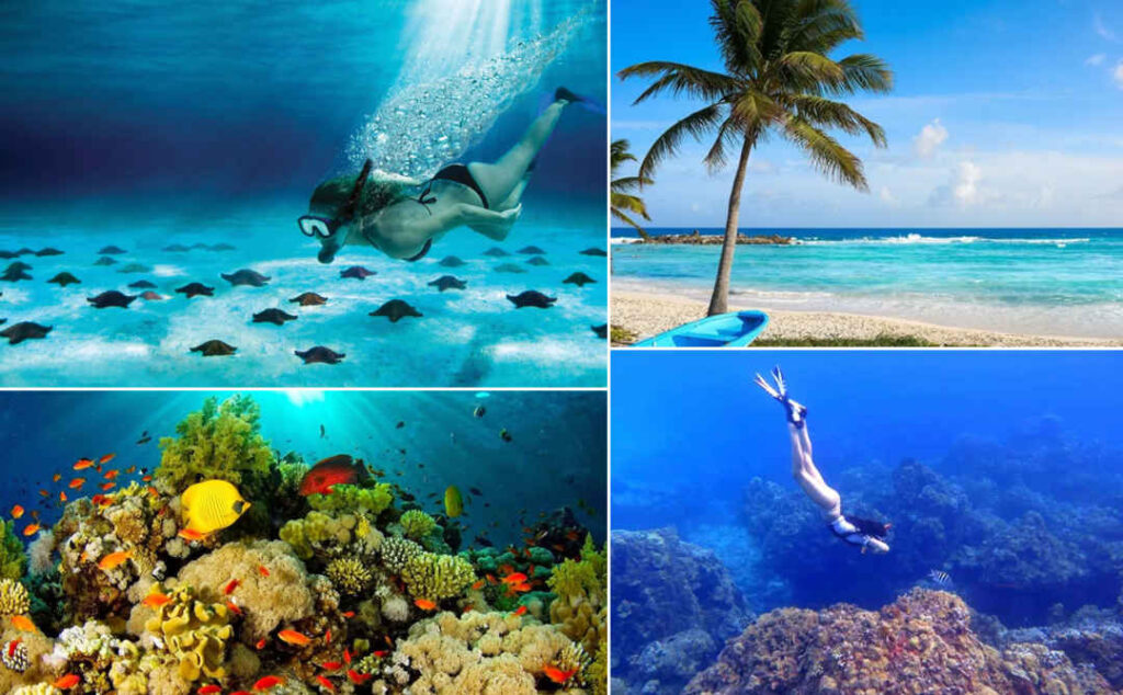 Tour Cozumel
