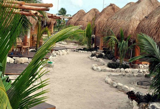 cabañas mahahual actividades cancun y riviera maya