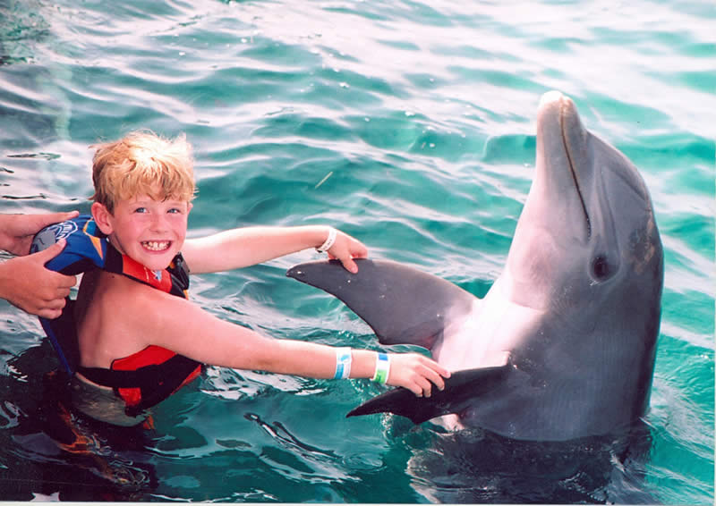 nado con delfines para niños en cancun