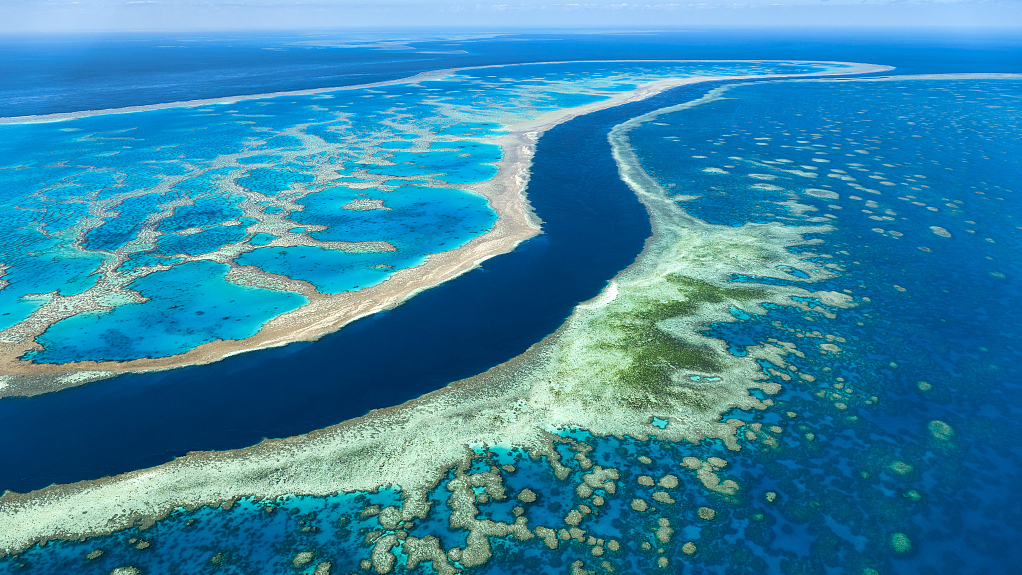 Gran Barrera de Coral en Oceanía tulu que ver