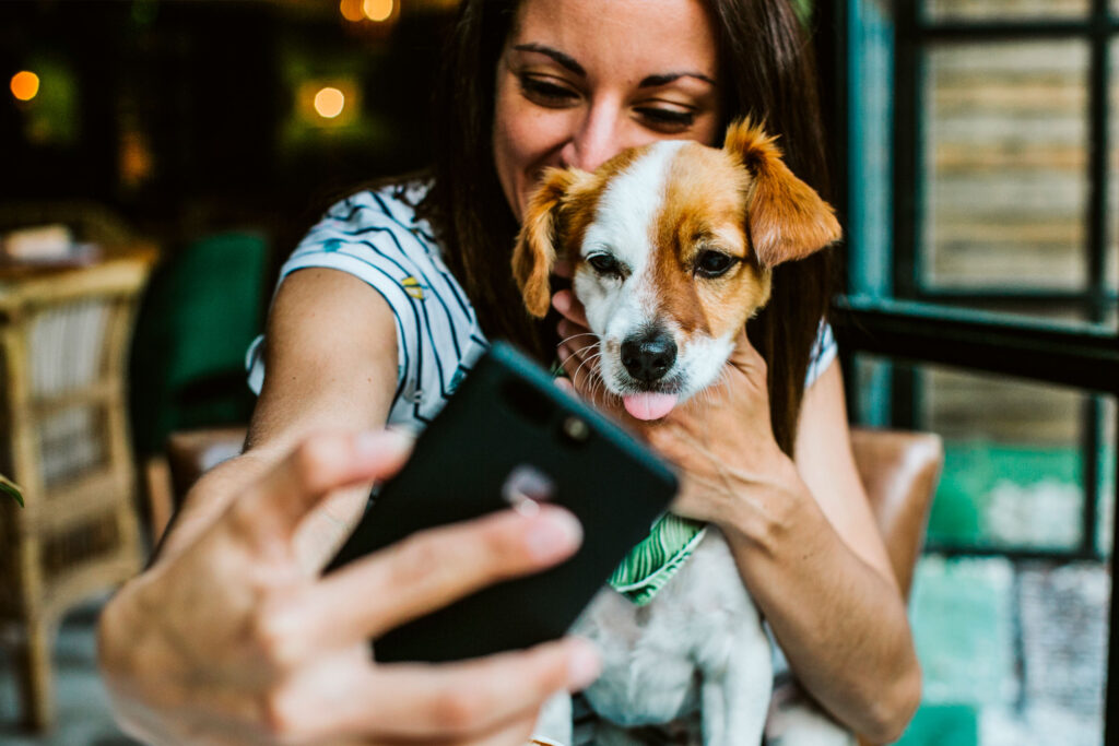 Nizuc Resort & Spa pet friendly
