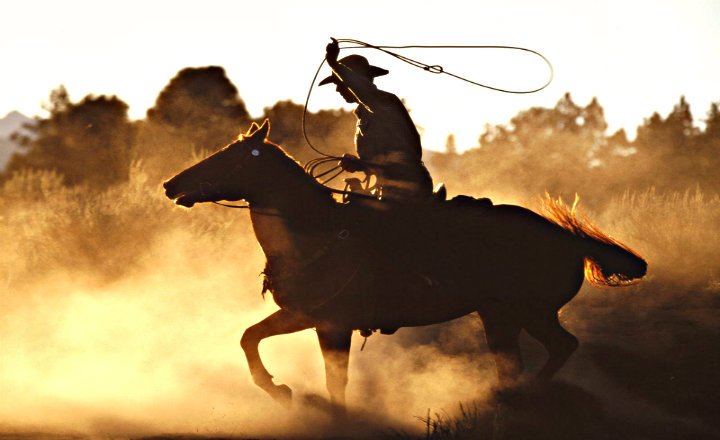 cuál es el trabajo de un vaquero