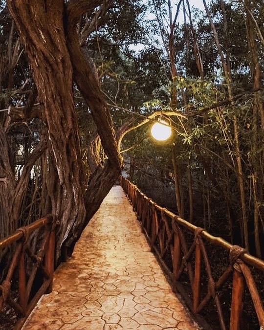 Sandos Caracol Eco Resort hotel todo incluido playa del carmen