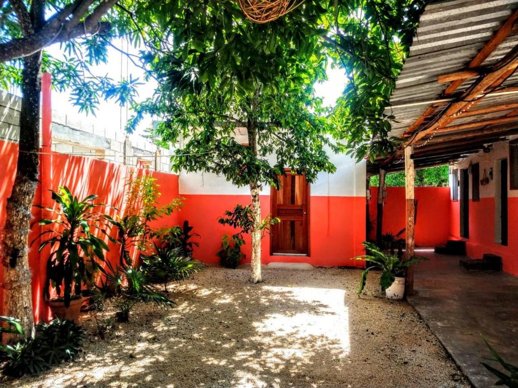 casa coral alojamiento barato en bacalar