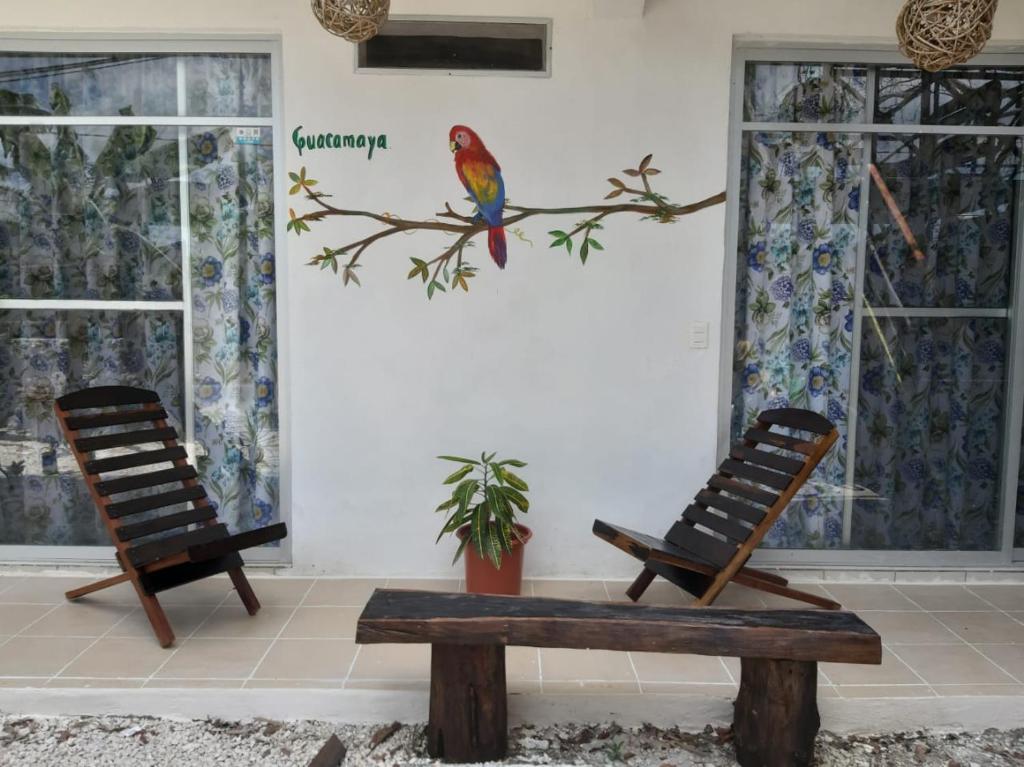 la casa de las aves - donde alojarse en bacalar