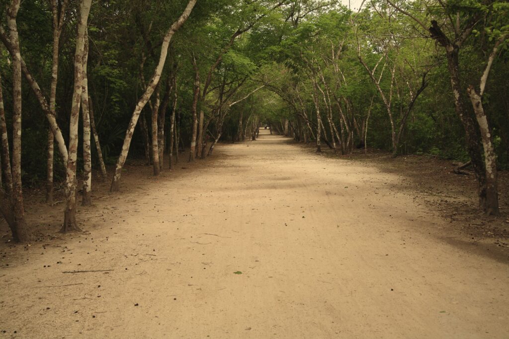 Sacbe antiguo sistema vial de coba