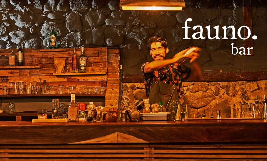fauno bar puerto escondido