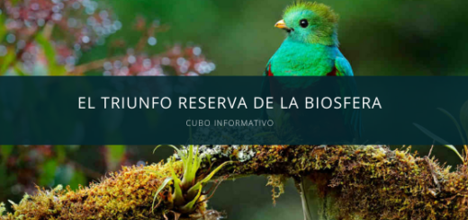 El Triunfo Reserva de la Biosfera