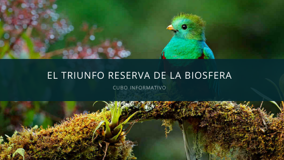 El Triunfo Reserva de la Biosfera