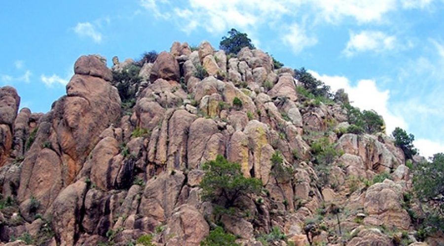 Sierra de los Cardos