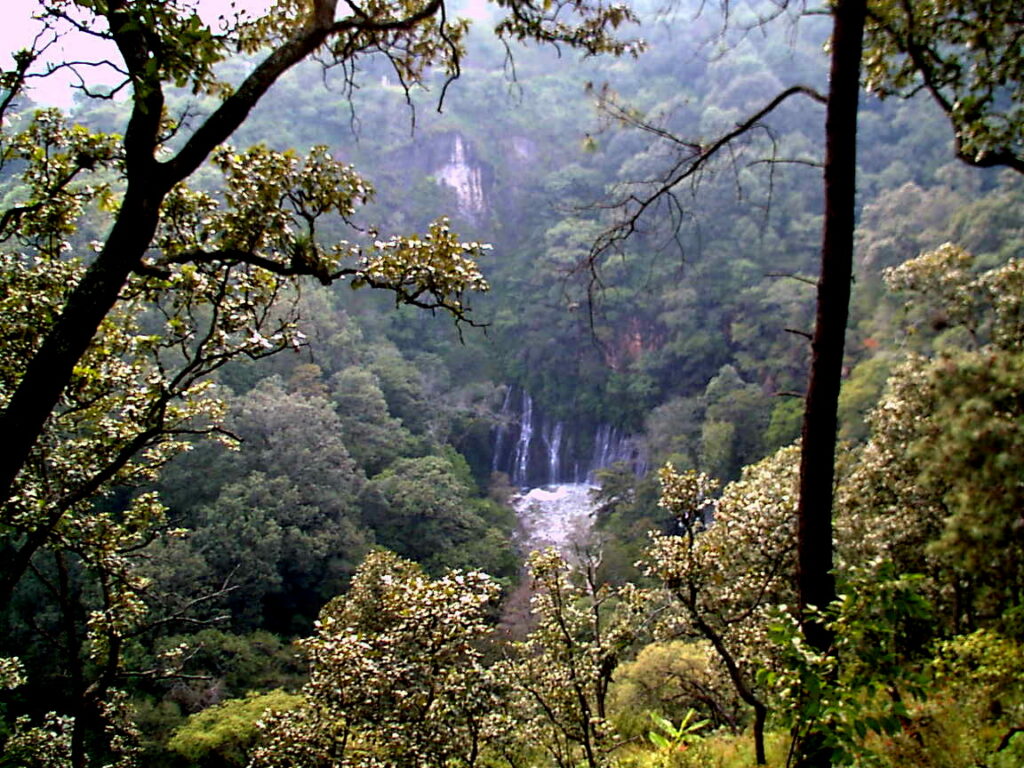 uruapan michoacan mexico