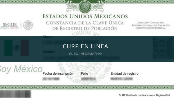 CURP en linea