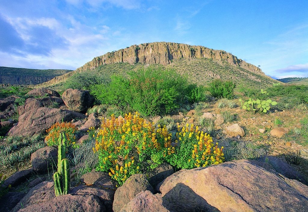 Sierra de Santa Rosa guanajuato mexico