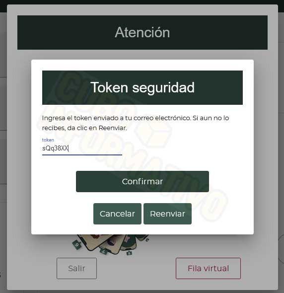 cita sat paso a paso