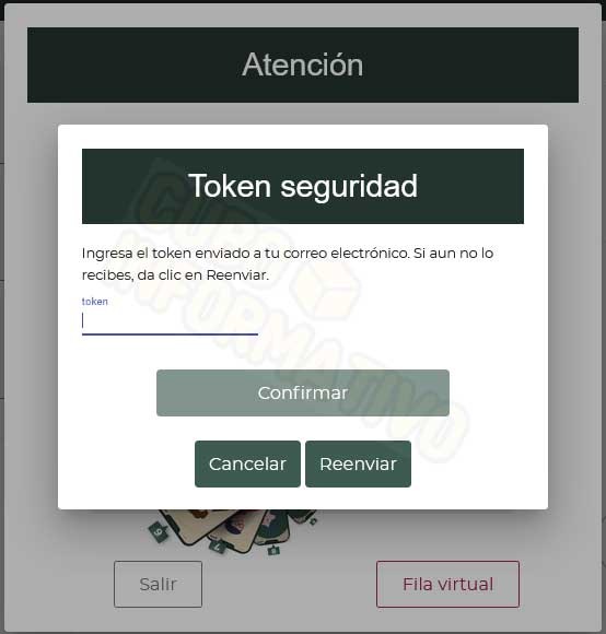 cita y fila virtual sat