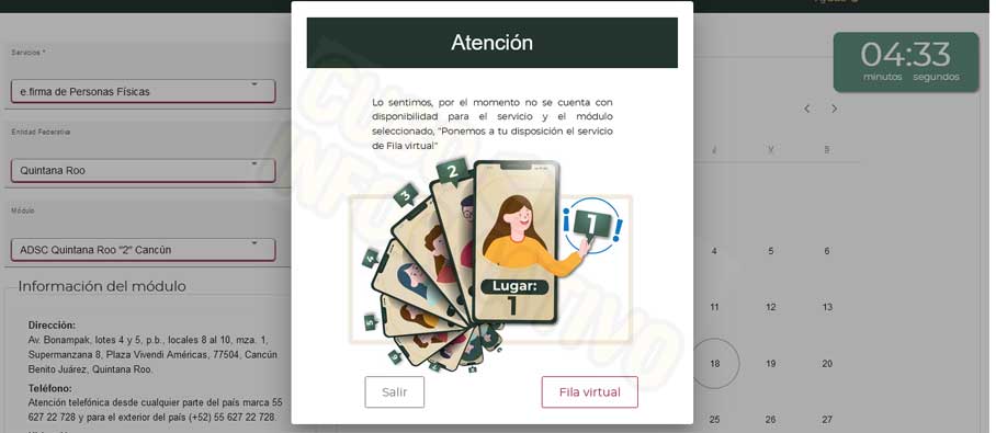 fila virtual citas sat