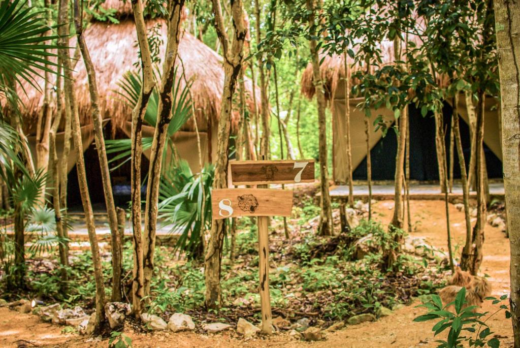 Akumal Natura Glamping mejores lugares donde alojarse puerto aventuras