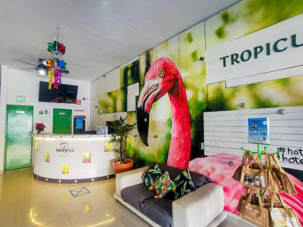 Hoteles en zona romántica Puerto Vallarta