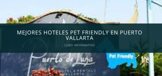 Mejores hoteles pet friendly en Puerto Vallarta