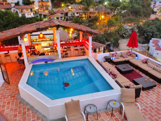 Mejores hoteles pet friendly en Puerto Vallarta