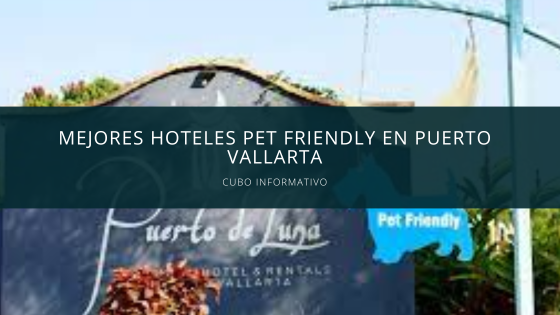 Mejores hoteles pet friendly en Puerto Vallarta