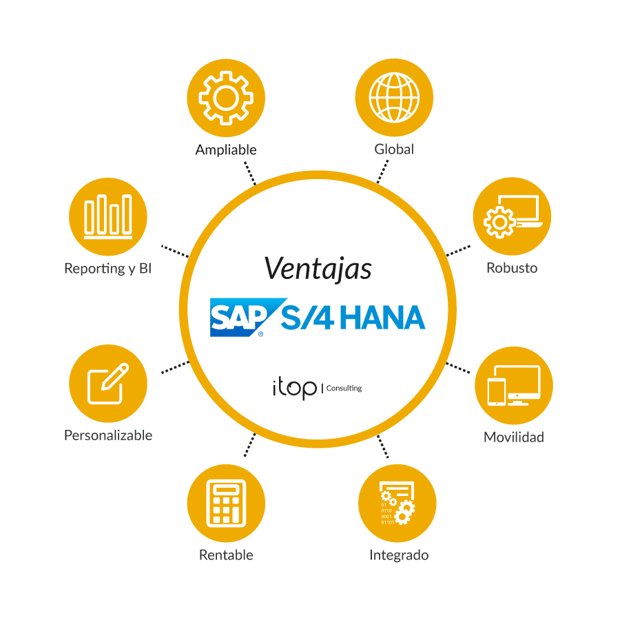 Características Principales de SAP HANA