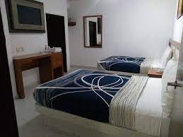 hoteles cerca de la zona piel de leon