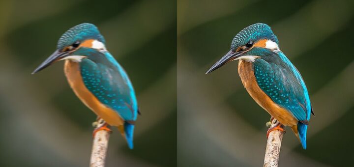 calidad de foto y video