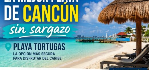 playa de cancun sin sargazo